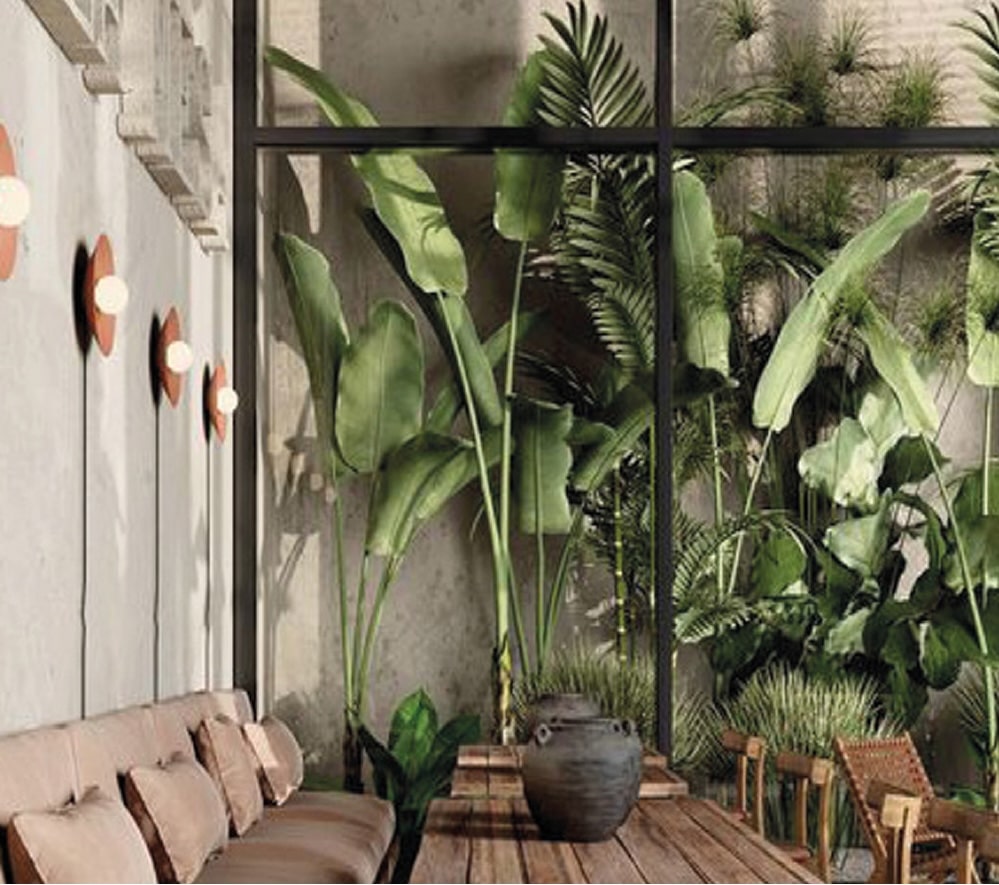 Roof garden - Punta Recife